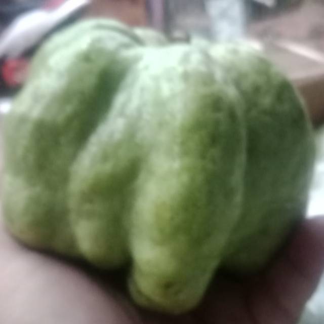 

Jambu kristal