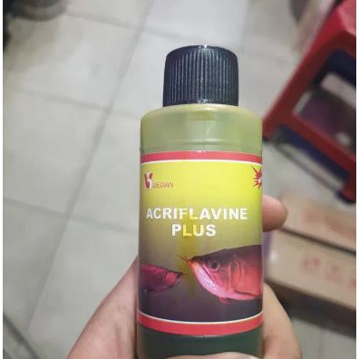Obat Kuning Ikan Hias Acriflavine Plus mirip Elbayu - Aquarium Kolam