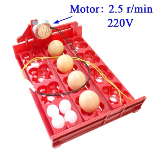 1248 Egg Tray Motor Rak Pemutar Penetas Telur Mesin Tetas Inkubator SuperMurah
