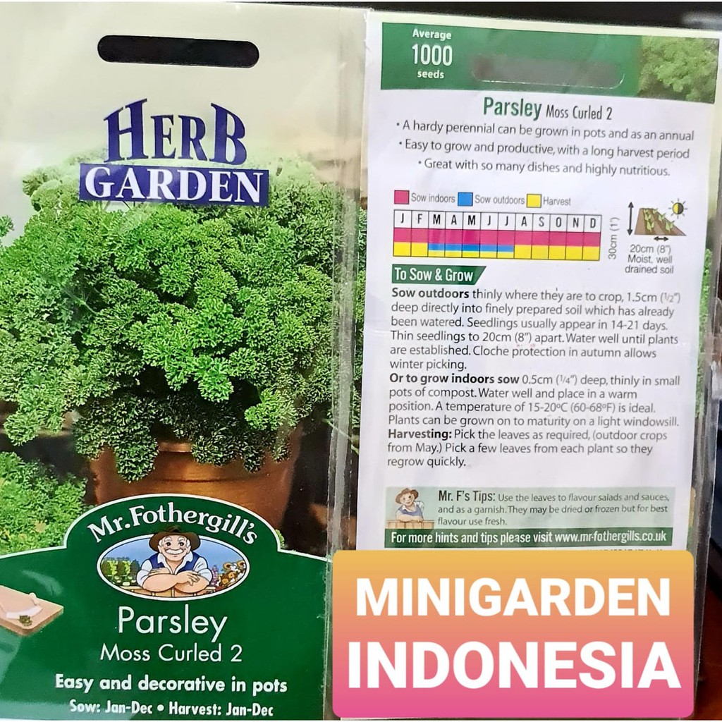 Benih herbal seledri PARSLEY MOSS CURLED PACK 1000 BIJI bibit sayur sledri import f1 fothergills