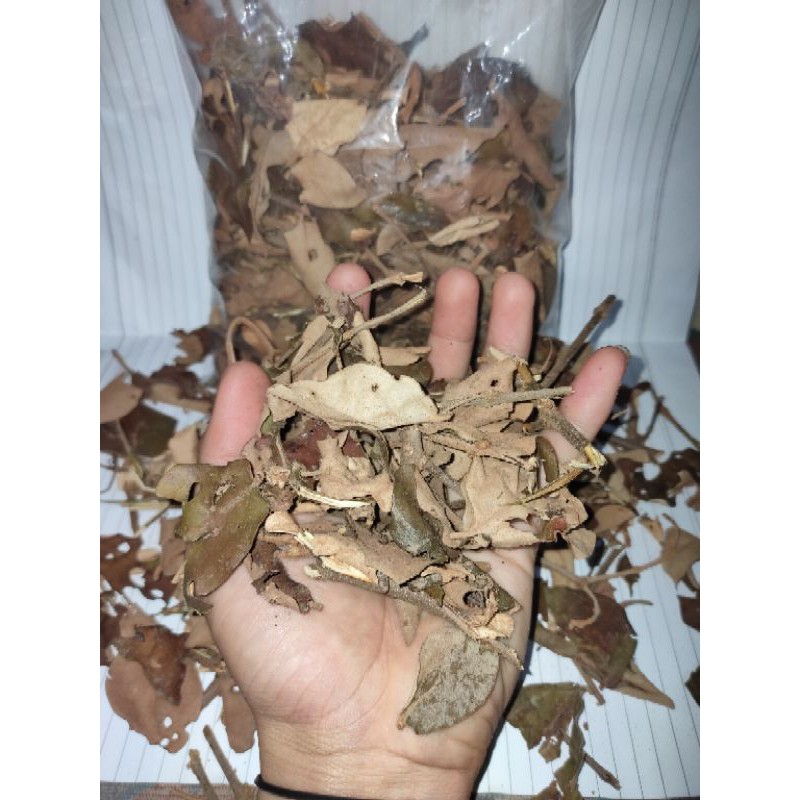

BENALU KOPI ASLI 100% AMANAH HUTAN SUMATERA 100 gr