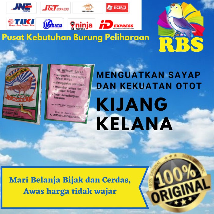 Kijang Kelana Bondowoso Pil Jamu Merpati Balap Kolong POS