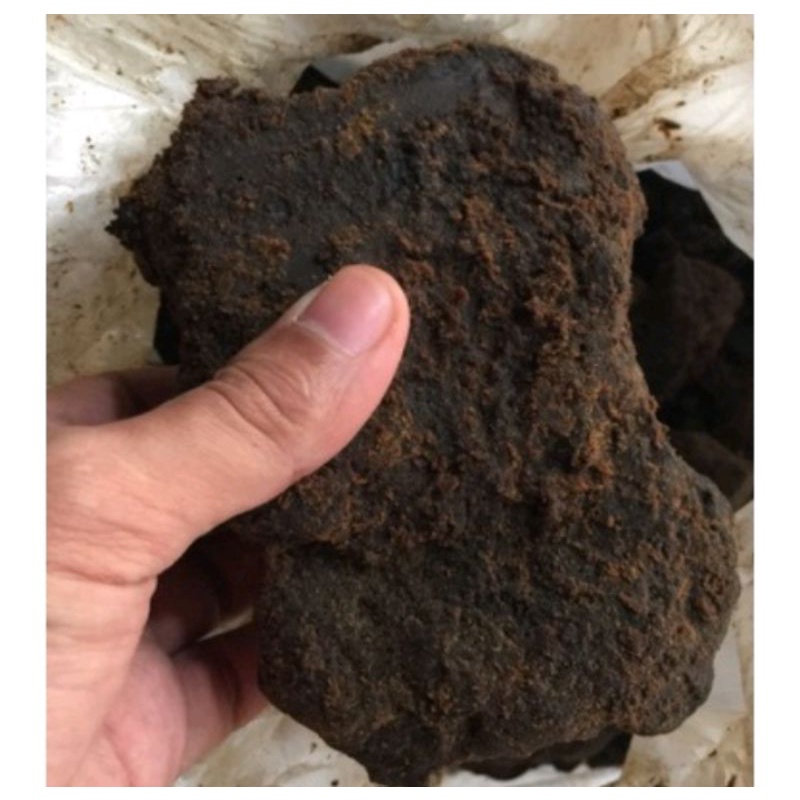 

gula merah tebu murni asli