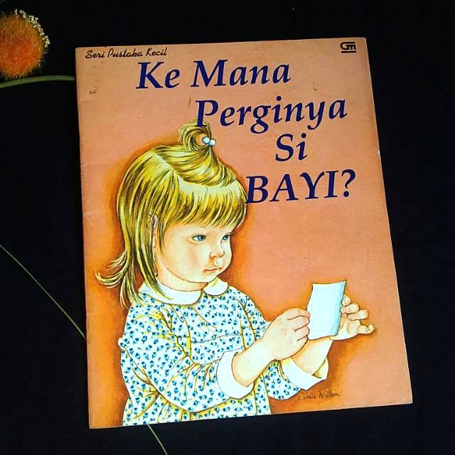 Seri pustaka kecil judul kemana perginya si bayi ilustrasi eloise wilkin