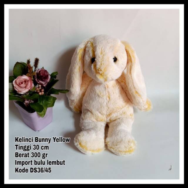 

Kelinci Bunny Yellow