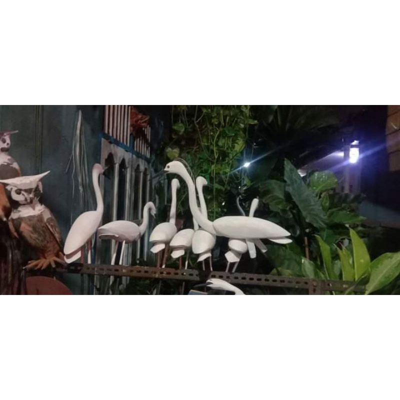 jontrot burung kuntul