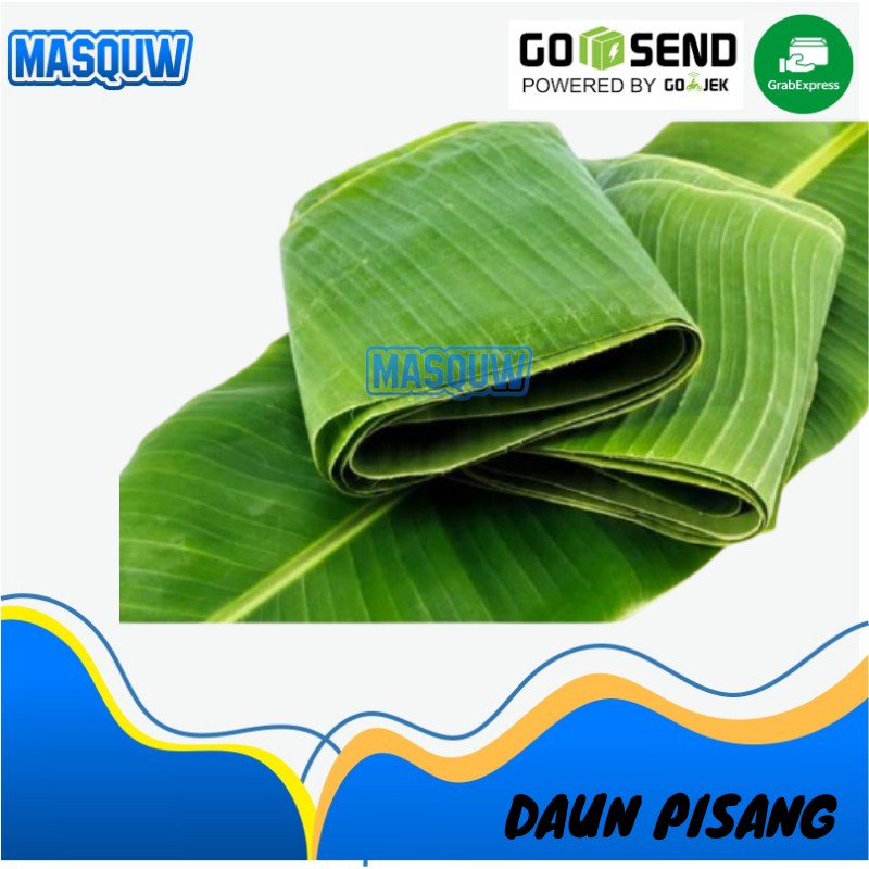 

DAUN PISANG / GODHONG GEDANG PER IKAT MASQUW