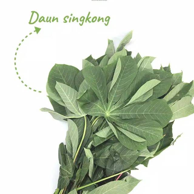 Daun Singkong Per Ikat