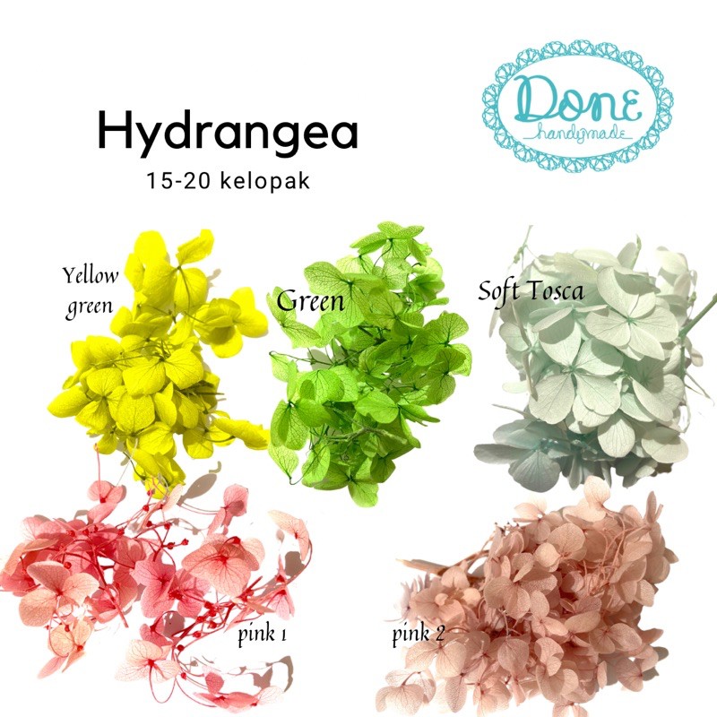 Bunga hydrangea bunga kering preserved flower