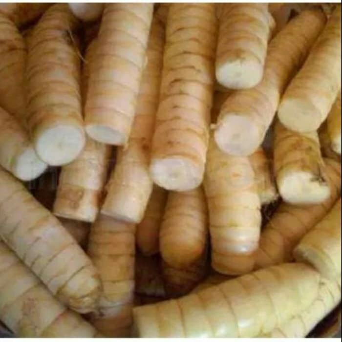 

promo umbi garut segar 1kg New Promo
