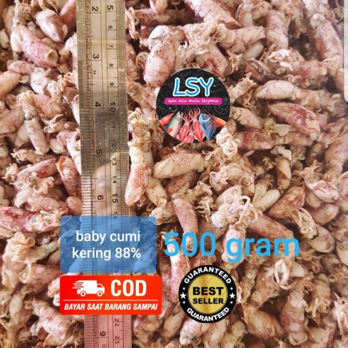 

vf501ge Ikan Asin Baby Cumi / Cumi Rebus 88 500Gr Dscscv