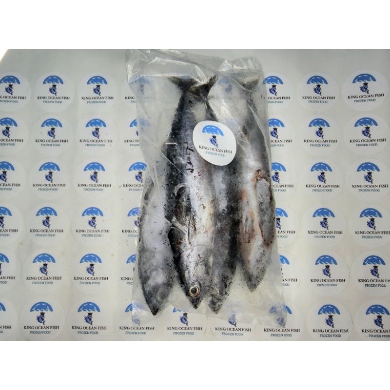 

Ikan Tongkol Deho Beku 1Kg isi 3-4 ekor