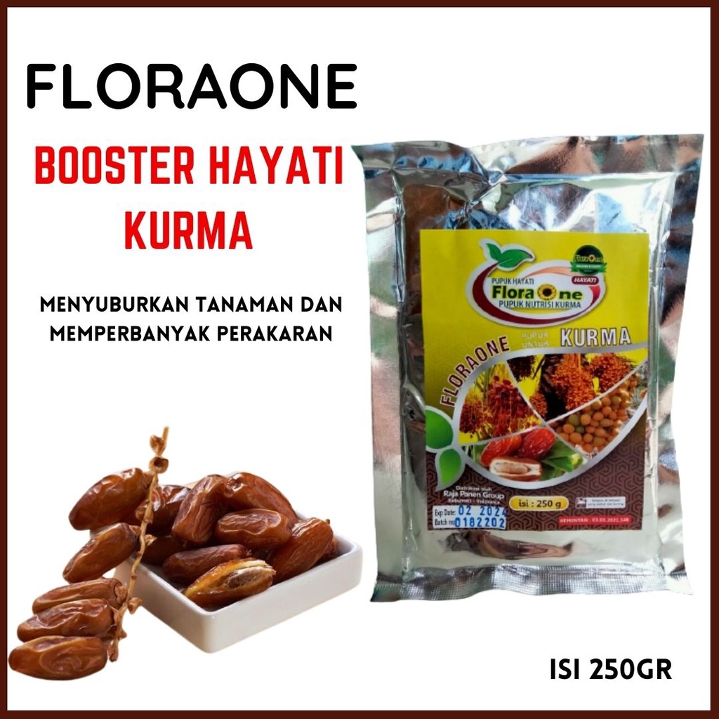 Pupuk Pohon Kurma Agar Cepat Besar Booster Kurma Pupuk Tanaman Kurma