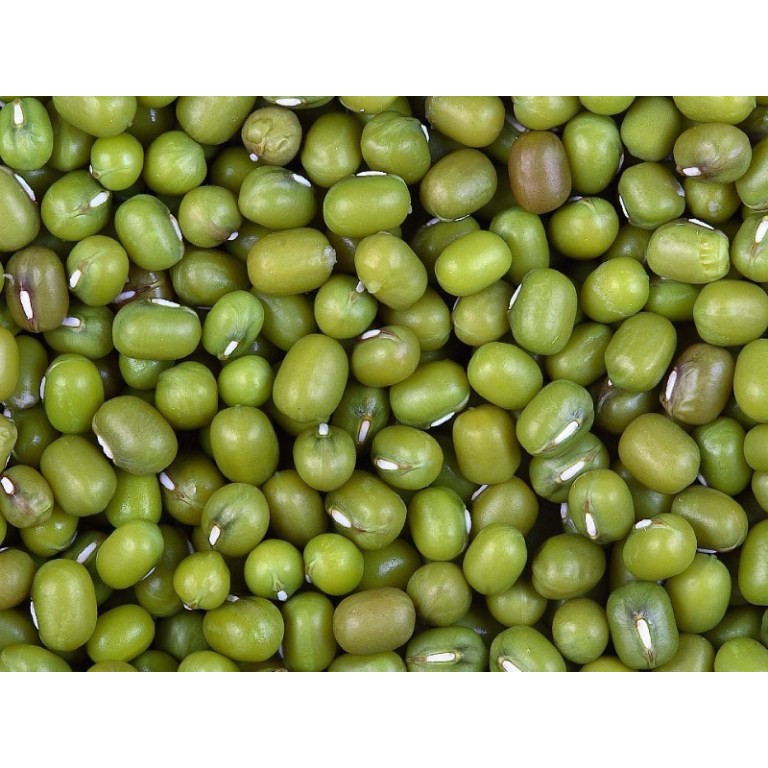 

Kacang Hijau 250 Gram