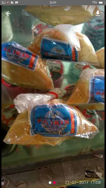 Paikin biru dan paikin mini