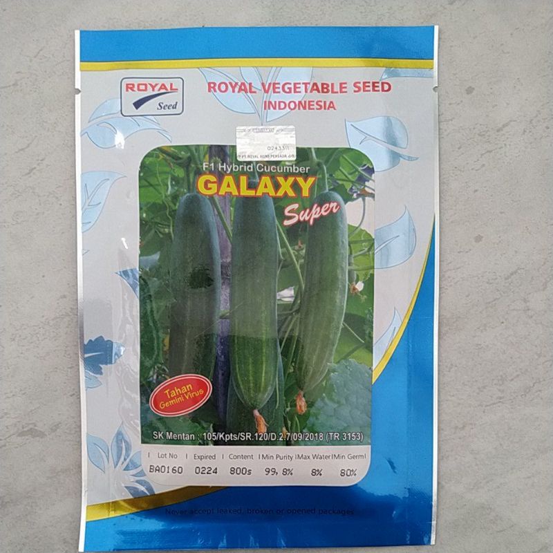 benih timun hibrida GALAXY super F1 timun galaxy