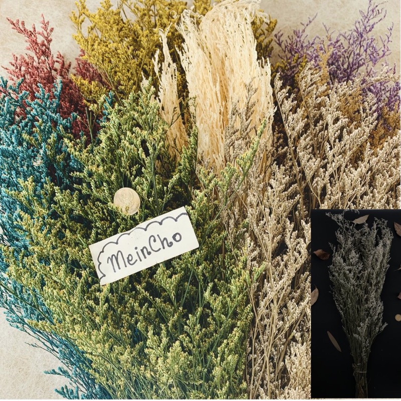 (10-100gr) GROSIR Bunga Kering CASPEA Dried Flower Limonium Lovergrass Rustic Import Tangkai Panjang