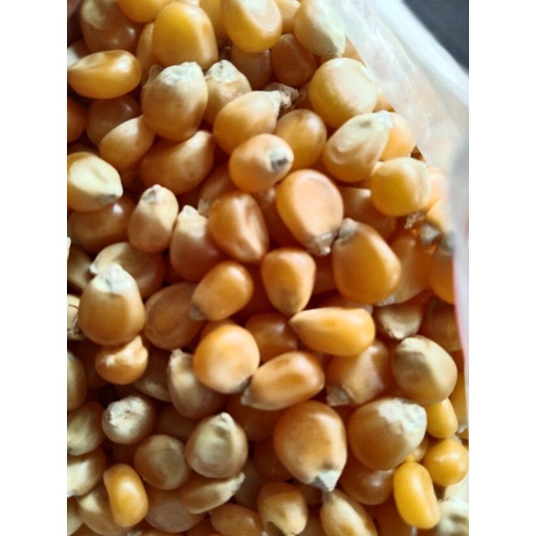 

jagung popcorn 500gr