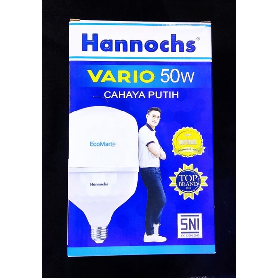 Lampu Led Hannochs Vario 50w