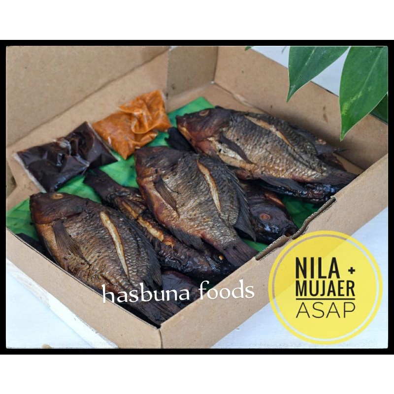 Nila dan mujaer asap isi 2