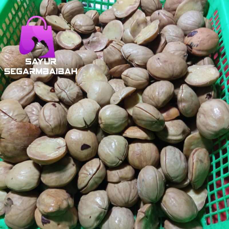

jengkol rebus
