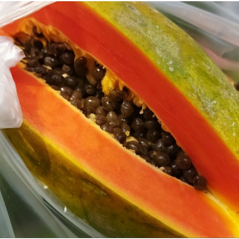 

Pepaya California manis