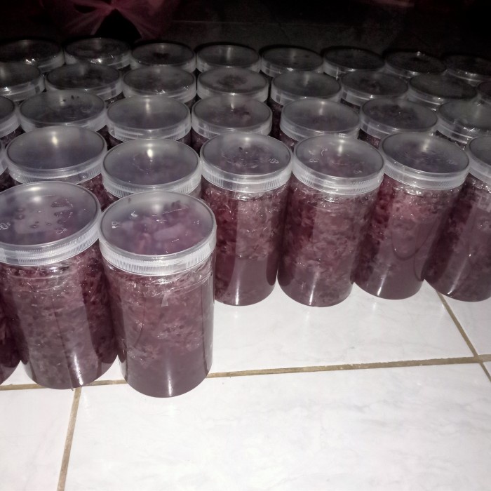 

KETAN-BERAS- TAPE KETAN HITAM MANIS BERAT 1 KG -BERAS-KETAN.