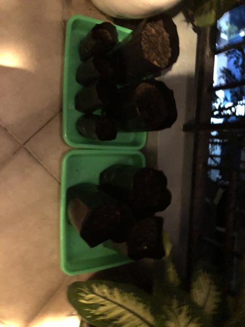 Nampan Besar / Nampan Saji / Nampan Plastik No.3