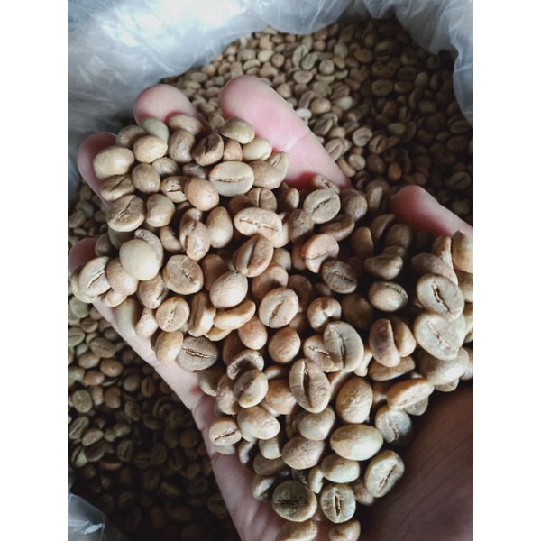 

Greenbean Robusta natural temanggung grade 1 2021
