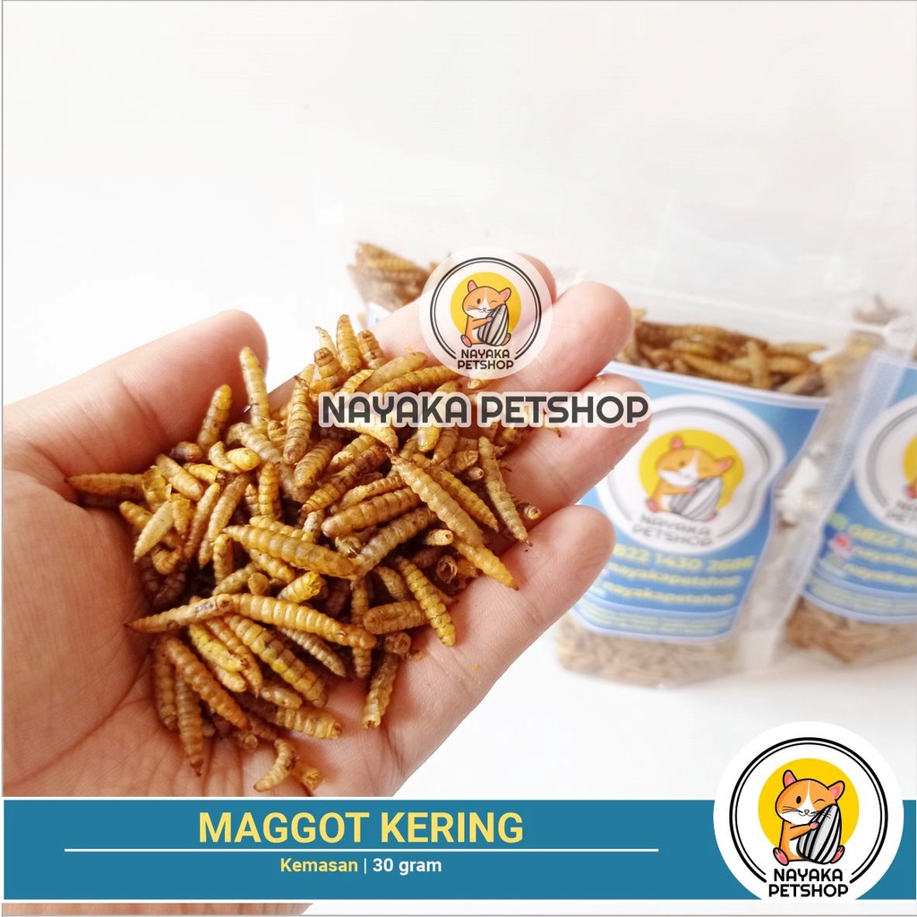 Maggot Kering 30 gr Pakan Hamster Makanan Sugar Glider Burung Ikan Koi