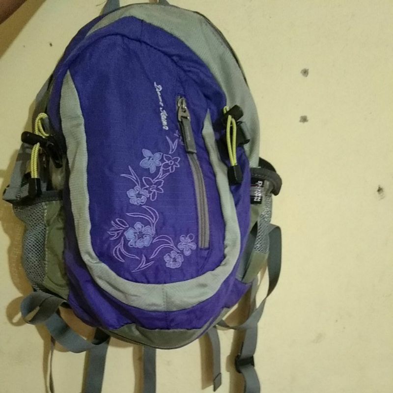 ransel gunung bertulang /ransel down town preloved