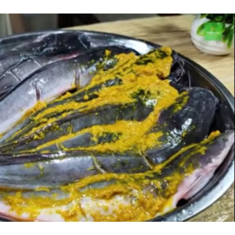 

Ikan LELE bumbu Siap goreng isi 5