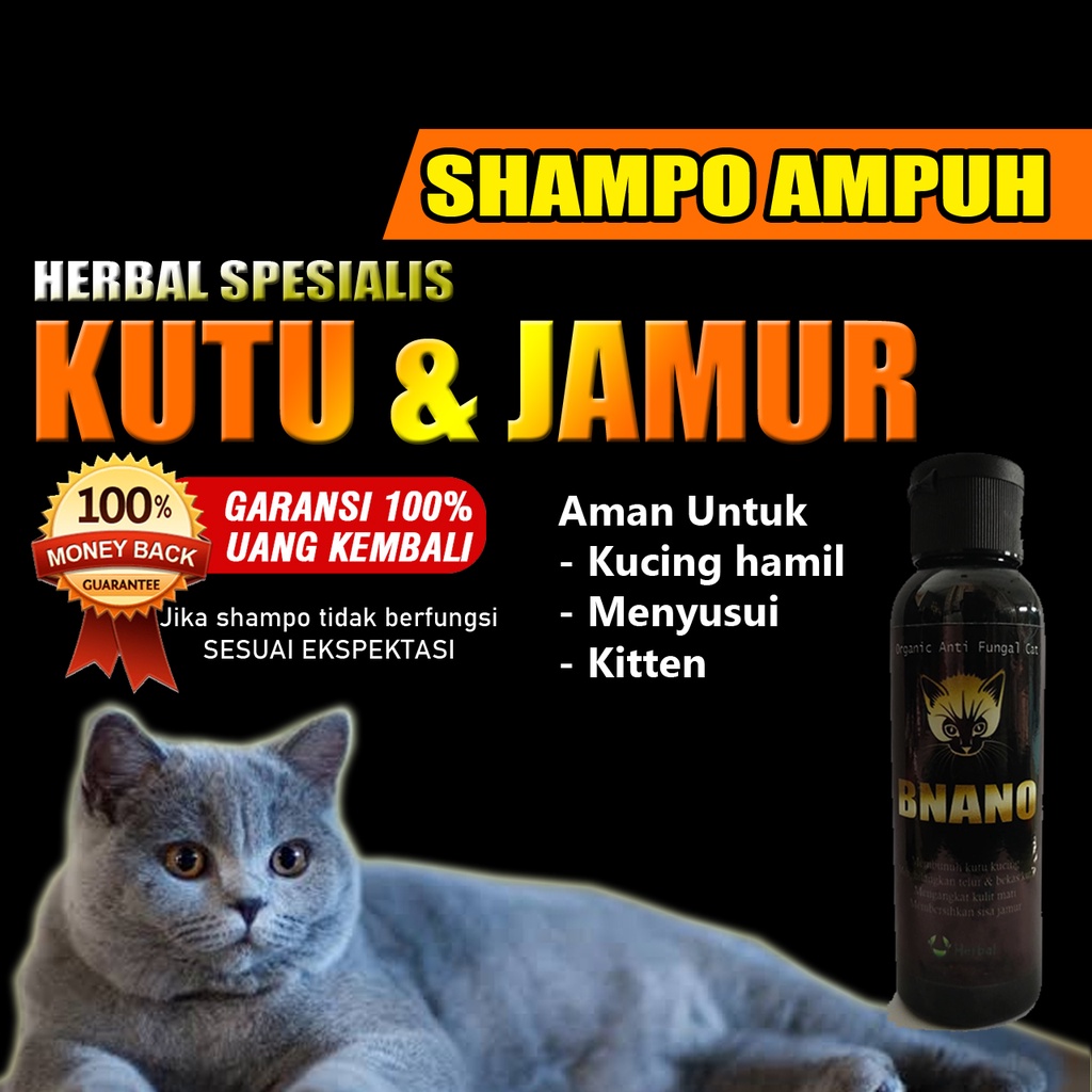 [REKOMENDASI] SHAMPO KUCING MENGHILANGKAN KUTU DAN JAMUR SEKALIGUS BISA DIBUKTIKAN SAMPO