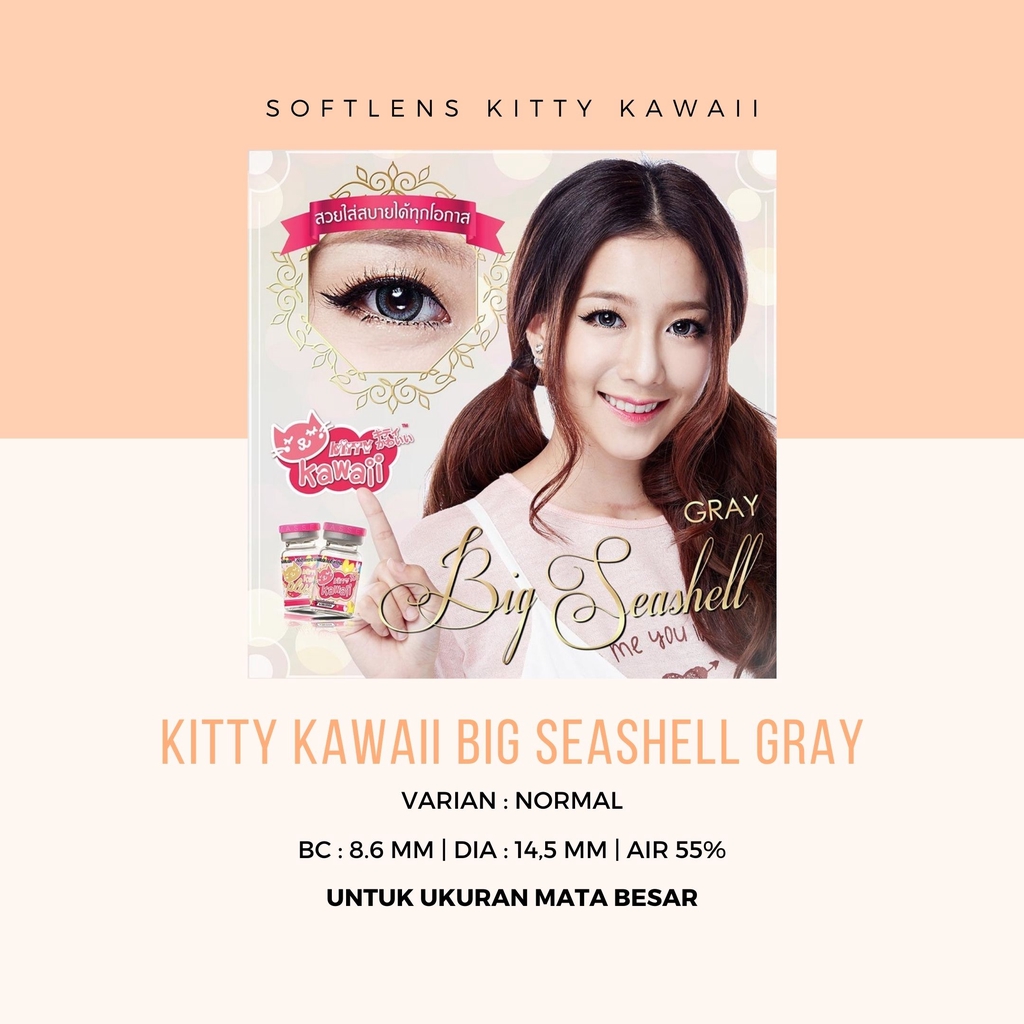 SOFTLEN KITTY KAWAII BIG SEASHELL BROWN DAN GREY - NORMAL