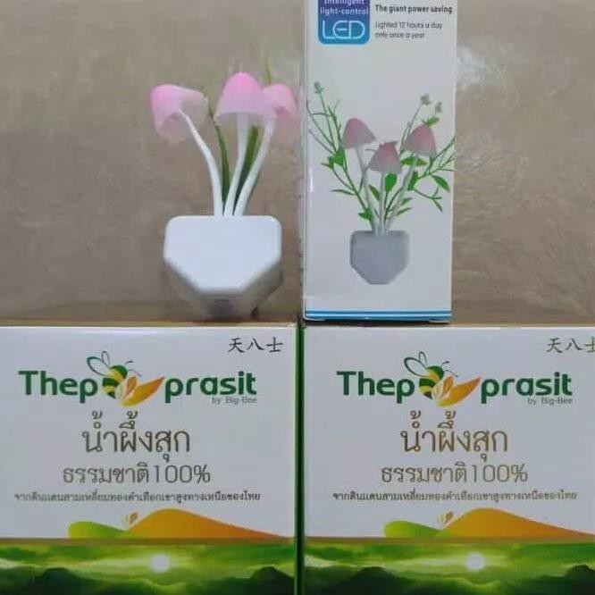 

! Madu Thepprasit / Madu Thailand Asli 3 Pcs 1Kg
