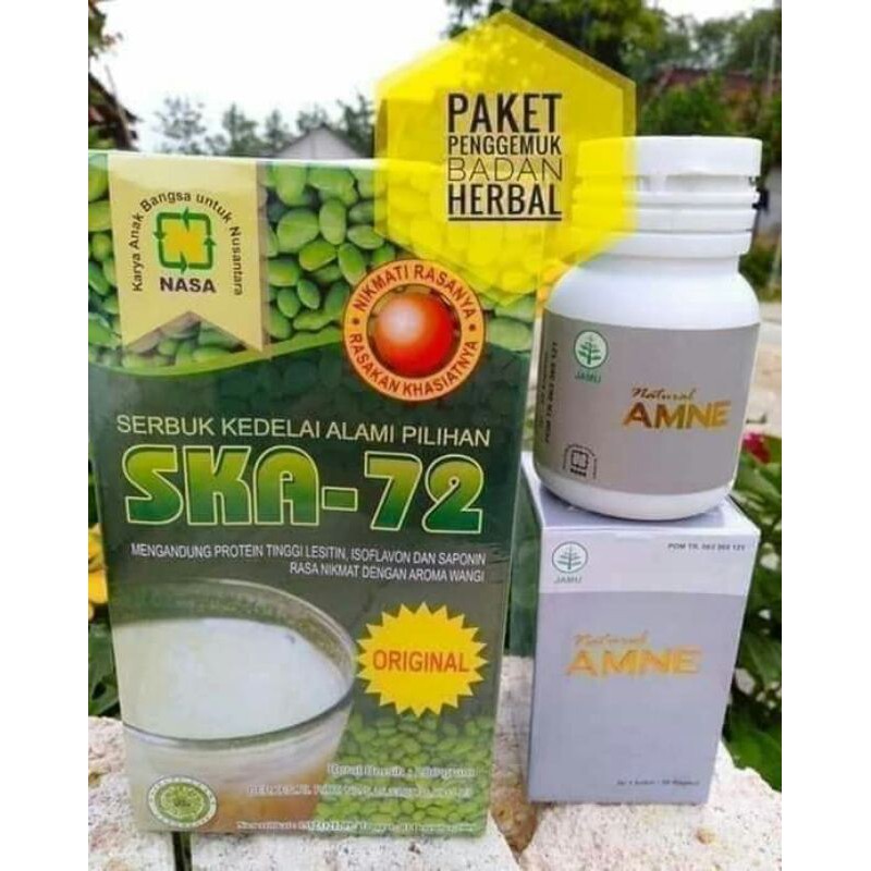 SUPLEMEN KESEHATAN PENGGEMUK BADAN PERMANEN SUPLEMEN GEMUK BADAN ANAK PAKET GEMUK HERBAL SKA 72 NASA