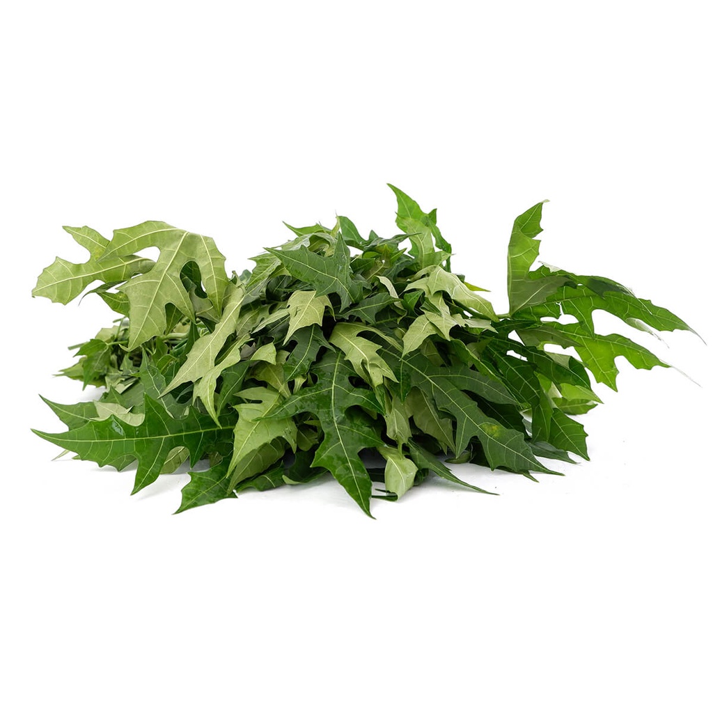 

Daun Pepaya Organik - Lojin Organic Store