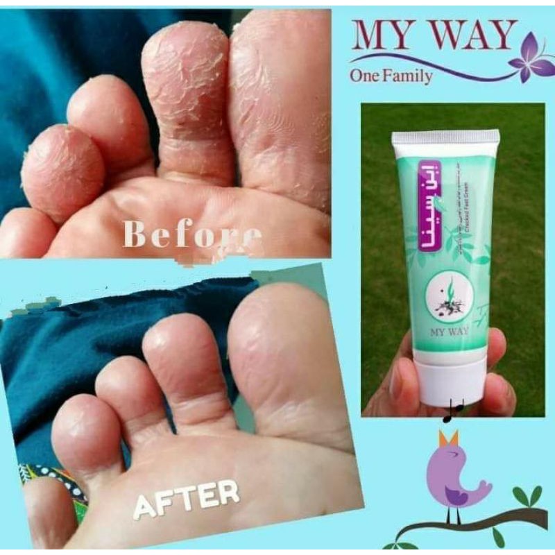 my way ibn Sina cream