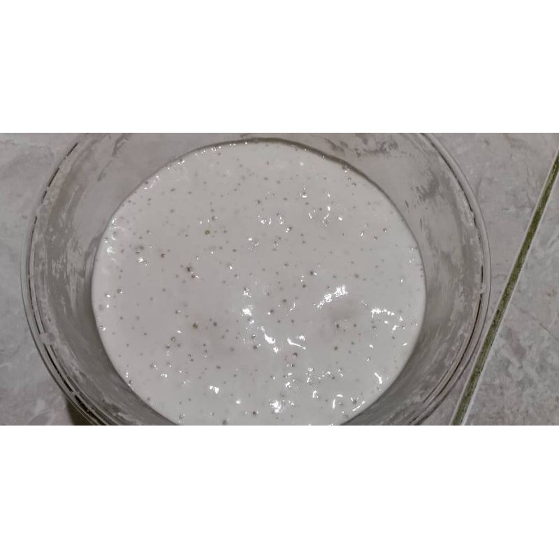 

ragi alami / sourdough starter @30gr murah