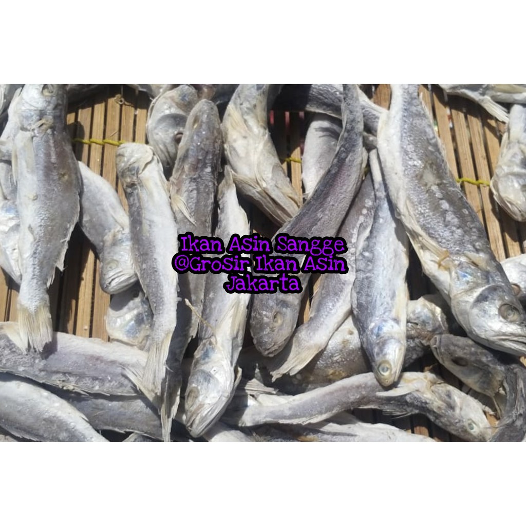 

Ikan Asin Sangge Murah