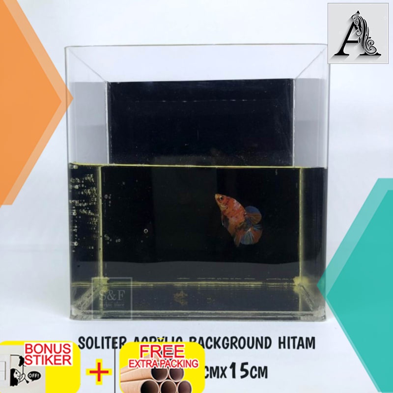 Promo SOLITER AKRILIK / SOLITER CUPANG / AQUARIUM ACRYLIC / SOLITER SELFIE