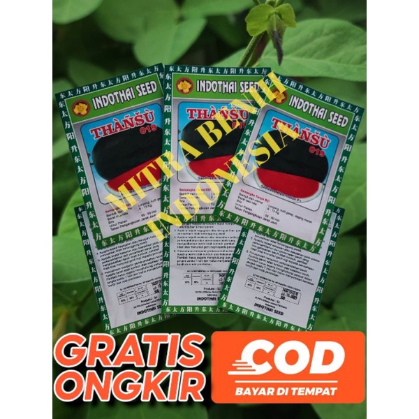 Benih Semangka nonbiji lonjong Thansu 019 isi 300 biji
