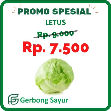 

Selada Iceberg/ Selada Bokor / Lettuce / letuce / Letus - 500g