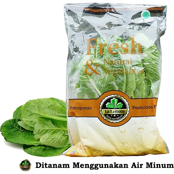 

Sayur Hidroponik Romaine 250grm/ sayuran sehat siap olah