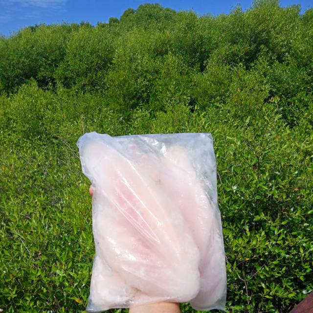 

Dori fillet frozen