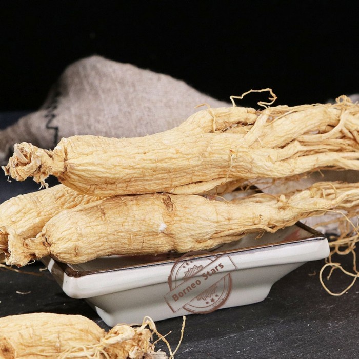 

Akar ginseng premium/Batang Utuh/ 长白参整支 - 50 gram (BERKUALITAS)