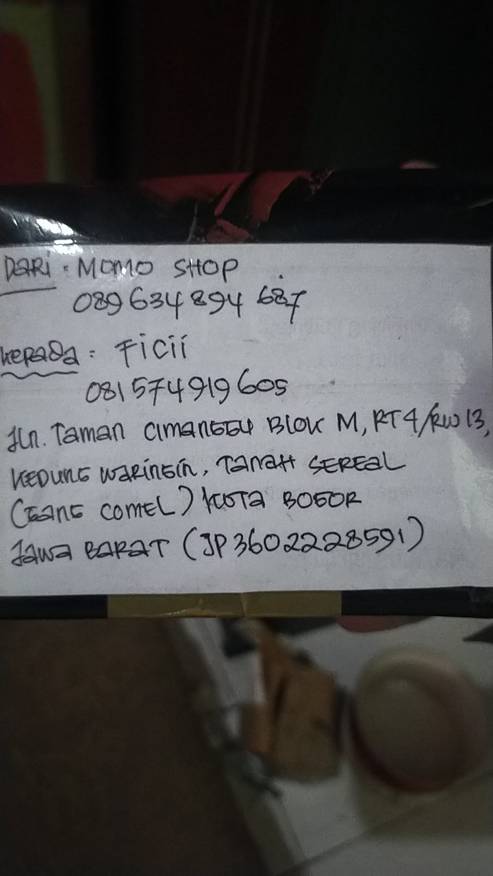 Ikan Cupang Plakat Gold