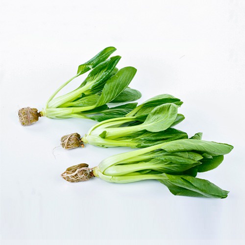 

Greenville farm - Bundling 2 Pakcoy + 2 Kangkung