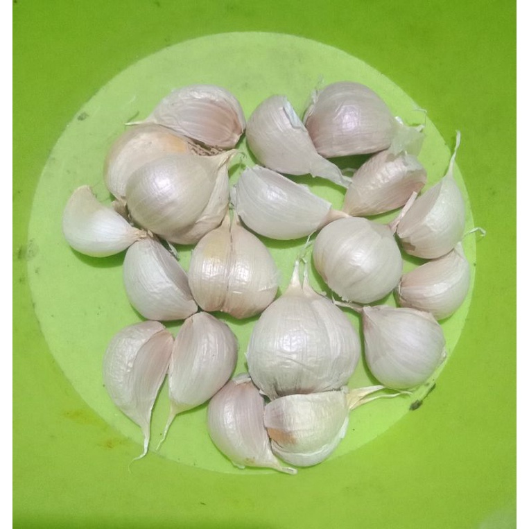 

BAWANG PUTIH KATING BERSIH 100 GRAM
