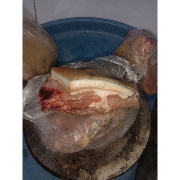 Daging babi hutan/celeng + kulit dan Tulang